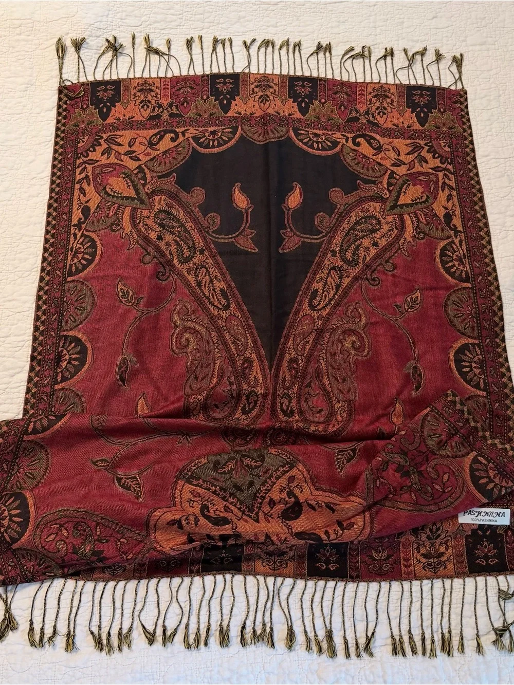Pashmina Scarf Shawl 27 x 77 with Fringe Tassels Fall Colors Paisley Boho